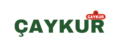 Caykur